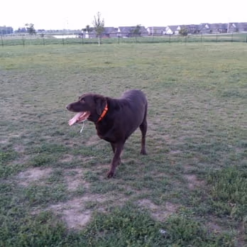 Shepard Dog Park